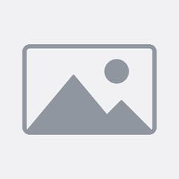 WhatsApp 二维码